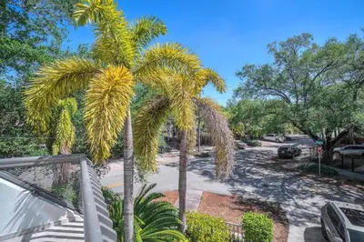 a palm tree on the side of a street at Grove Walk Manor 3BR Oasis in the Grove Family in Miami