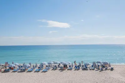 a group of chairs and umbrellas on a beach at Miami Apartment 2 full size beds & Beach Service in Hallandale Beach