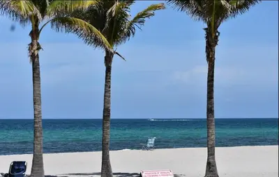 two palm trees on a beach with a chair and the ocean at BeachWalk Studio Apmt 2 Beds w Beach Service in Hallandale Beach