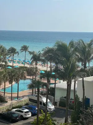 a view of a beach with palm trees and cars at beautiful place 1 in Hollywood