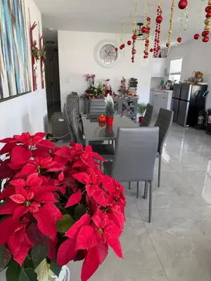 a dining room with red flowers and a table and chairs at USA Star Hostel in Hallandale Beach