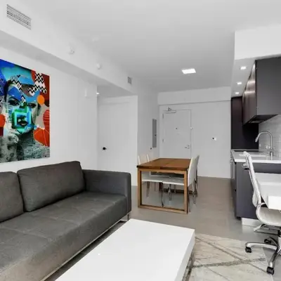 Downtown Large Stylish 1 bedroom condo Gym pool