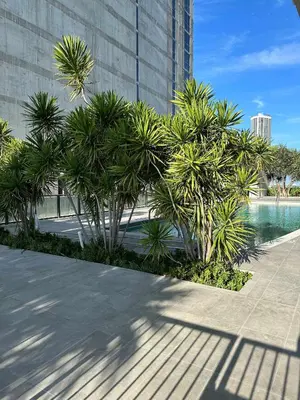 a row of palm trees next to a building at Luxury 2BR Skyline Balcony Free Parking by Palermo Home Miami in Miami