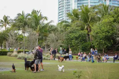 a group of people with dogs in a park at South Beach South of Fifth 1 Bedroom Apartment Steps to Beach Sleeps 5 Pet Friendly in Miami Beach