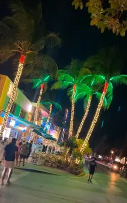 a group of palm trees are lit up at night at Walk to South Beach in Miami Beach