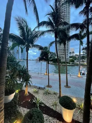 a view of a beach with palm trees and a building at Luxurious 5-STAR condo at the ICON Brickell in Miami