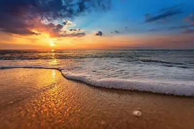 a sunset on a beach with the ocean at Charming Beachside Studio - Steps to the Beach in Hollywood