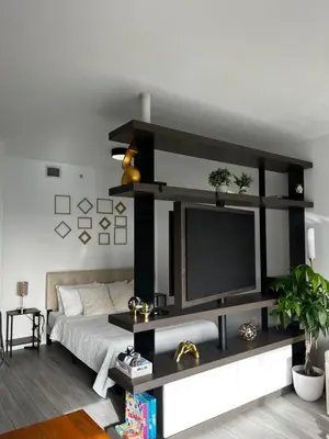 a living room with a bed and a television on a shelf at Luxury Studio in Miami