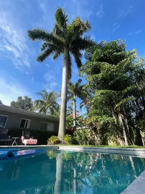a palm tree next to a house with a swimming pool at Chic Fort Lauderdale Getaway w/Private Heated Pool in Fort Lauderdale