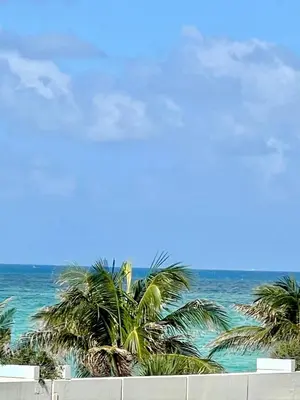 a view of the beach with palm trees and the ocean at Condo w/2 Queen beds & Ocean View | Tides in Hollywood