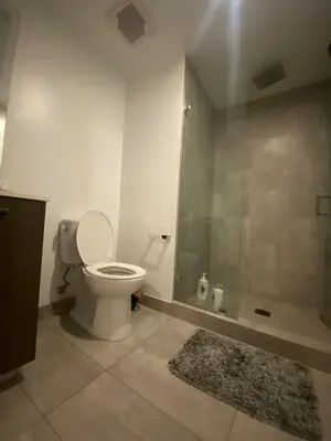 a bathroom with a toilet and a shower and a rug at Comfortable apartment in Downtown Miami in Miami
