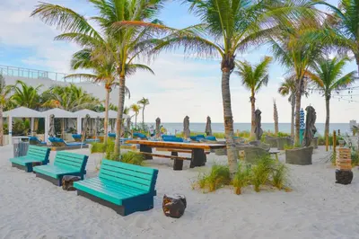 a group of benches on the beach with palm trees at Relaxing Beach Escape with Scenic Views in Hollywood