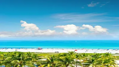a view of a beach with palm trees and the ocean at Stunning Private Studio at Fontainebleau Sorrento - 802 in Miami Beach