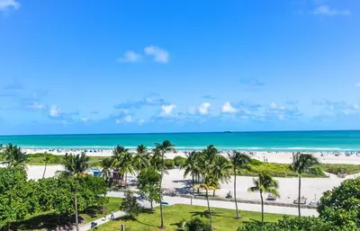 a view of a beach with palm trees and the ocean at Spacious APT on South Beach Roof Top Pool & Bar in Miami Beach