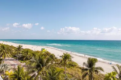 a view of a beach with palm trees and the ocean at Shine Suites Balcony Studio 7 in Miami Beach