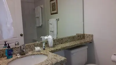a bathroom with a sink and a mirror and a toilet at Charming Kendall Home in Kendall