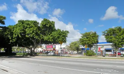 a street with a tree on the side of a road at Lovely 2 bedrooms 2 bathrooms Apt, Sleeps 4, Split King bed, Free Parking, Pet OK in Miami