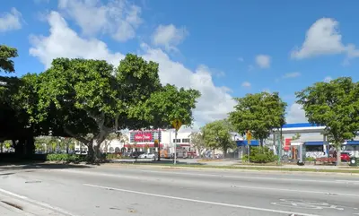 a street with a tree on the side of a road at Large Apt, Parking, Split King Bed, Washer & Dryer in Miami