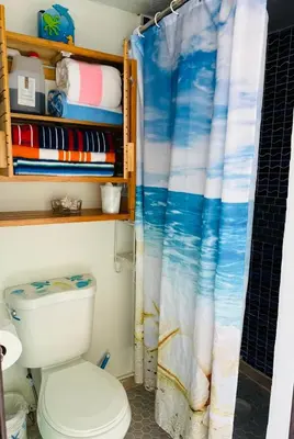 a bathroom with a toilet and a shower curtain at Love Story Pool House, free parking & BBQ in Miami