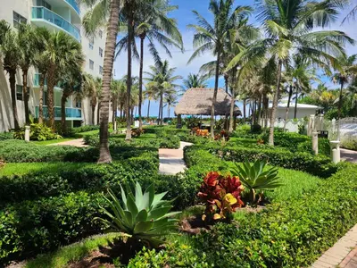 a garden at the resort with palm trees and a building at Lovely condo on the Beach - Tides Hollywood 14th Floor in Hollywood