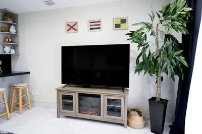 a flat screen tv on a stand with a plant at The Hamptons Hideaway in Hollywood