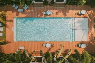 an overhead view of a swimming pool with palm trees at Maison Felix in Miami Beach