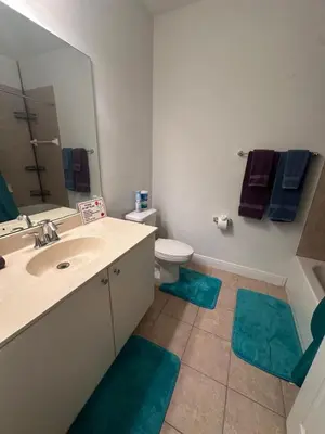 a bathroom with a sink and a toilet and blue mats at Miami Fort Lauderdale Vacation Rooms in Miramar