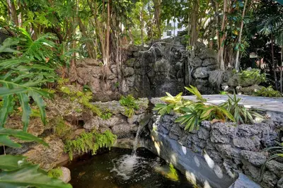 a pond in a garden with a waterfall at Bayshore Charm-Free Parking in Miami