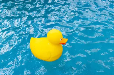 a yellow rubber duck floating in a swimming pool at Parisian Vibe in Design District Miami with Private Pool BBQ Spacious Backyard in Miami