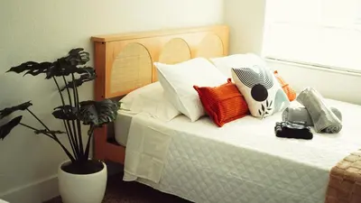 a bedroom with a bed with pillows and a plant at Cozy Miami Home Next to Wynwood & Design District in Miami