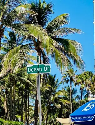 a street sign in front of some palm trees at OCEAN DRIVE-Beach Art Deco-2Queen,Cocina,Tv Wifi in Miami Beach