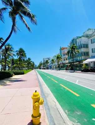 a yellow fire hydrant on a street with palm trees at OCEAN DRIVE-Beach Art Deco-2Queen,Cocina,Tv Wifi in Miami Beach
