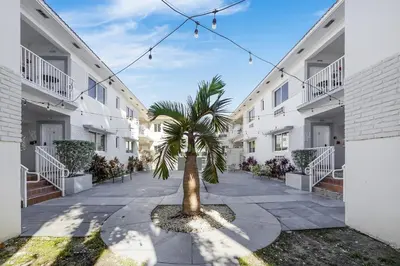 a palm tree in a courtyard between two buildings at The Donovan in Miami Beach