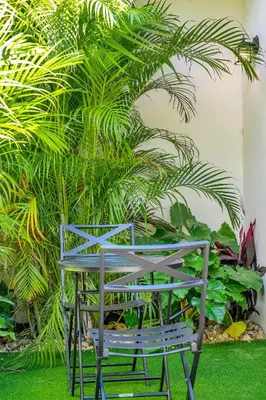 a blue chair in front of a plant at Chic Modern Studio with Queen Bed in Fort Lauderdale