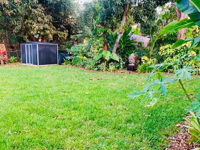 a yard with a lawn with green grass and plants at MIAMi MID-CENTURY GEM in North Miami Beach