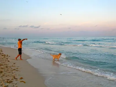a man and a dog walking on the beach at Best Location In South Beach Steps To Everything! in Miami Beach