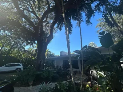 a house with a palm tree and a white car at Luxury Miami home with heated pool & BBQ area, close to beaches & sports arenas in Miami