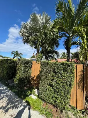 two palm trees and a fence with palm trees at Modern Boho 3BR Duplex Escape with Pool & King Bed Near Beach in Fort Lauderdale