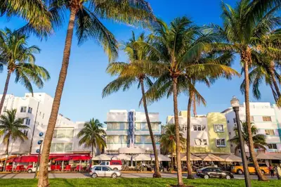 a group of palm trees in front of a building at Ocean Front Studio - Miami Beach in Miami Beach