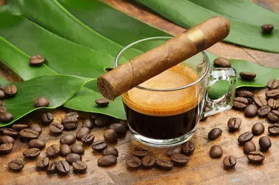 a cup of coffee with a cigar and coffee beans at OceanView 1B Private Residence at South Beach - 1114 in Miami Beach