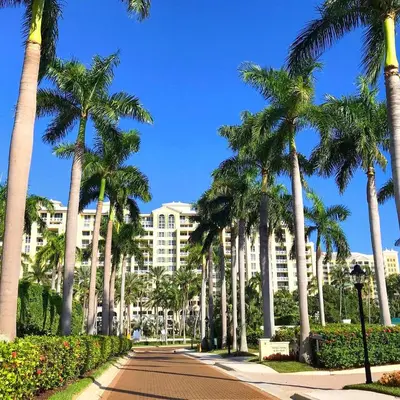 a row of palm trees in front of a building at Modern Miami Suite Near the Beach in Miami