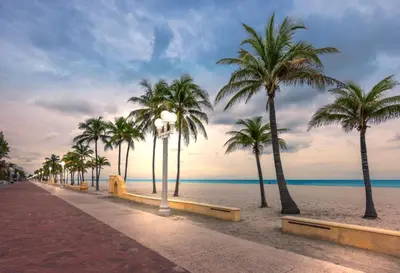 a row of palm trees on a beach with the ocean at Exclusive studio steps to the beach with pool in Hollywood