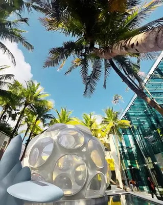 a hand holding a white object in front of palm trees at Contemporary Comfort Rooftop Views & Full Kitchen in Miami