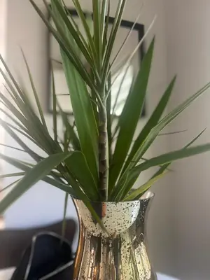 a vase with a plant in it on a table at Cozy Home away from home! in Miami