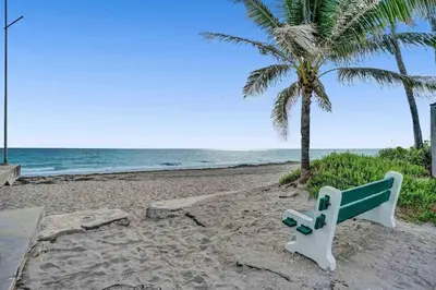 a bench on a beach with a palm tree at Cozy three bedroom near Hollywood beach in Hollywood