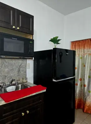 a kitchen with a sink and a black refrigerator at Miami Mini Escape 5 minutes from the airport in Miami