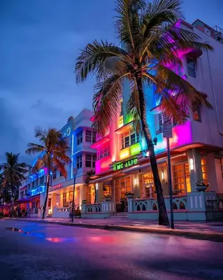 a palm tree in front of a building at night at Art Deco Escape Steps to Ocean & Free Parking in Miami Beach