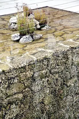 a stone wall with two plants on top of it at South Beach Amazing Ocean View in Miami Beach
