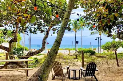 a picnic table and chairs under a tree at the beach at Las Tortugas Modern Oasis Getaway Many Amenities in Fort Lauderdale