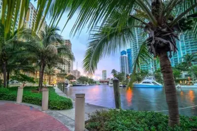 a view of a river with palm trees and buildings at Las Tortugas Modern Oasis Getaway Many Amenities in Fort Lauderdale